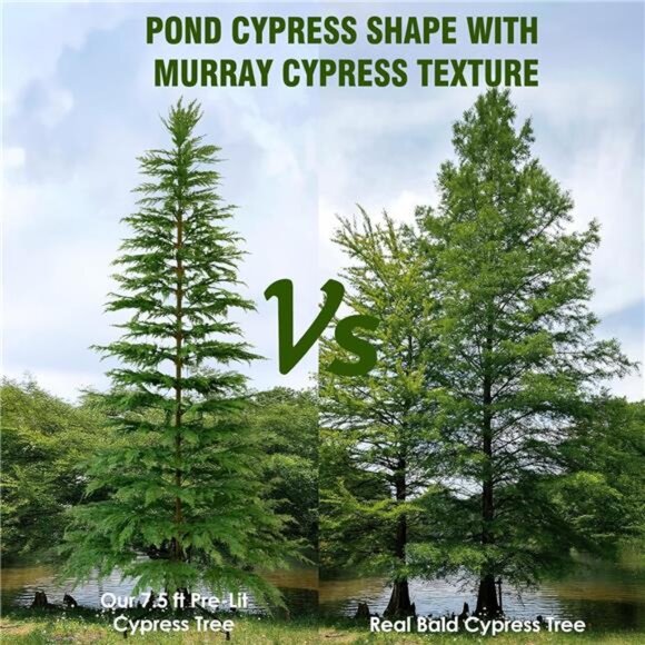 Christmas Decorations - 7.5 Ft Pre-Lit Twinkle Christmas Cypress Tree - - Picture 6 of 7